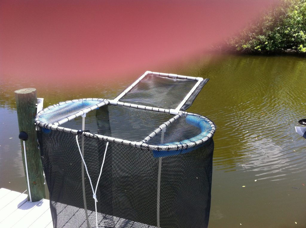 Fishing Live Bait Pen 4′ x 4′ x 2′